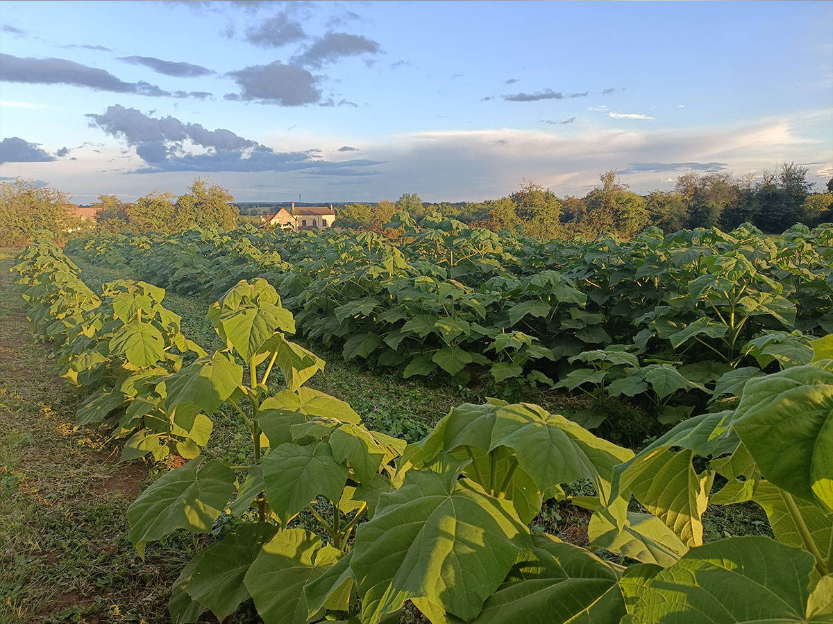 Itinéraire technique
